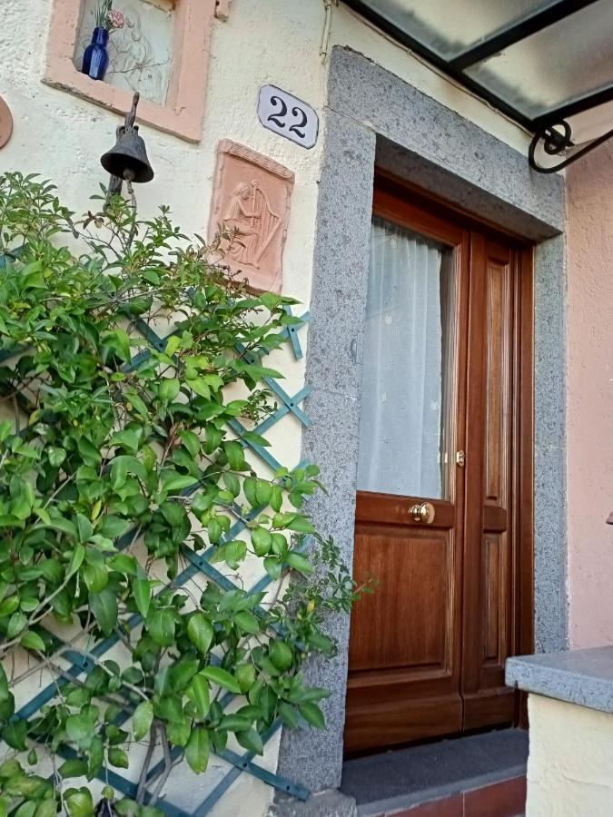 B&B Bellavista Bagnoregio Exterior foto